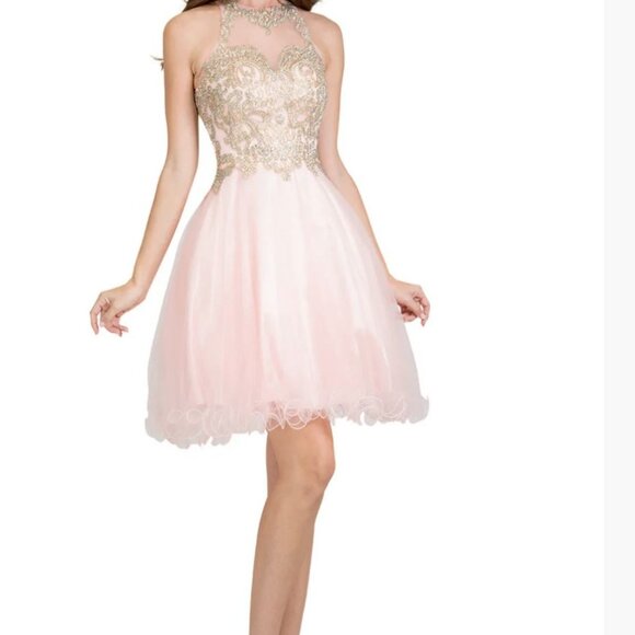 Short Pink Tulle Cocktail Dress With Rhinestone Beading & Sheer Halter Neckline - Picture 1 of 10